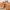 Banner of the post: Tips for Competitor Analysis